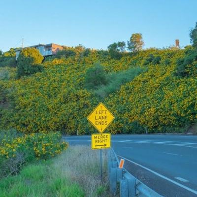 江南娱乐app官网下载官方入口