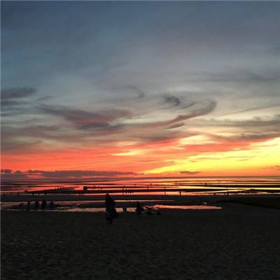 b体育官方app下载app下载