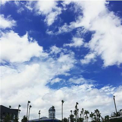 乐鱼竞彩官网app下载