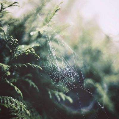 新宝十大登录平台